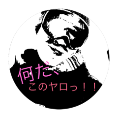 pooh---