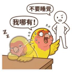 ChewChew & PiPi | Silly Office Birds