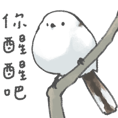 淡定の銀喉長尾山雀