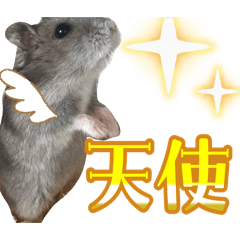 ORANGE_20251126231725