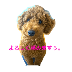 Riku-chan stamp #1