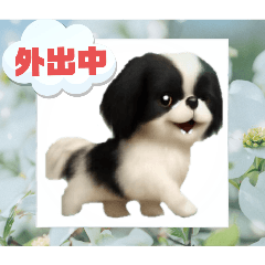 ayame_20251129041548