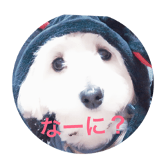 I love Moka           Moka is Marux