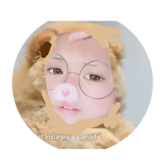 Isshin_20251128163405