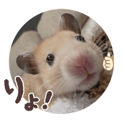 shiomi_20251128185836