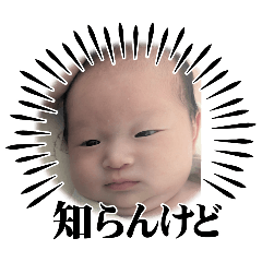 Nakamomo_20251128151158