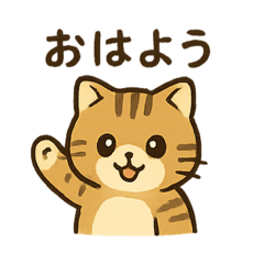 キジトラ猫様は今日も可愛い