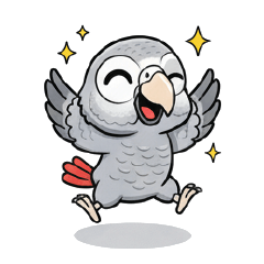 นกแอฟริกันเกรย์ (African Grey)