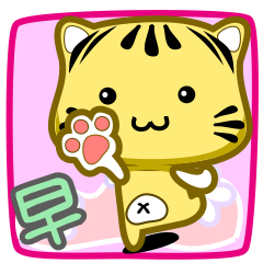 可愛條紋小貓貓!!!CAT183