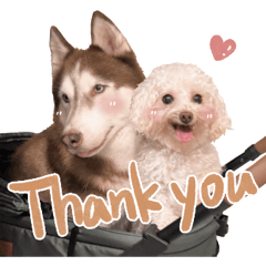 336 - Lan Lu Jieh Mei