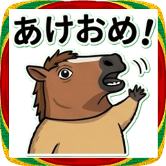 [年末年始]ウマーモット