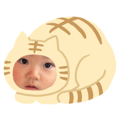 eji_20251129125448