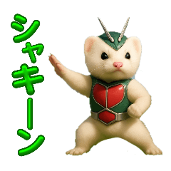 いつもフェレットと一緒♥️