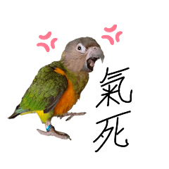 鳥のの世界