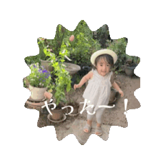 pippi_20251129164453