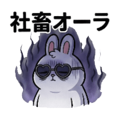 maronn_20251129153802