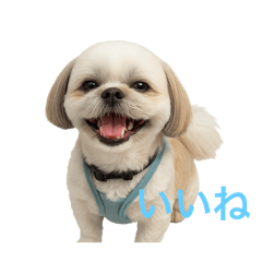 MINAMI_20251129132114