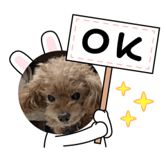 可愛的狗狗丁丁