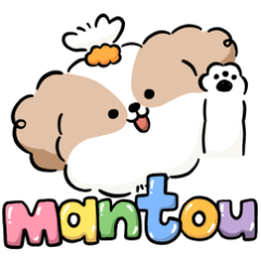 Mantou the shitsu