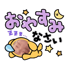MY_20251129225123