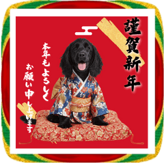 DOG  GOOD  Sticker164