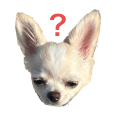 KORON_20251129140642