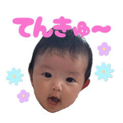 momo_20251129152112
