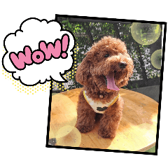 Chachajung_20251129150751