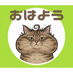 cat3_a4