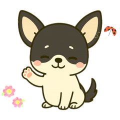 チワワの鈴ちゃんアニメ編