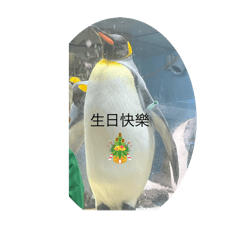 企鵝貼圖1