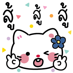 Hello,little cat.Can use it every day.