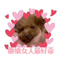 大家的好ma吉(⁎⁍̴̛ᴗ⁍̴̛⁎)