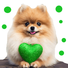 病院スタンプ☆ポメラニアン