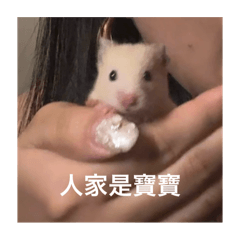 阿比醬ㄉ貼圖啦