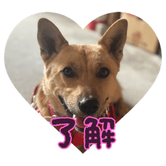 HIROKI_20251129174604