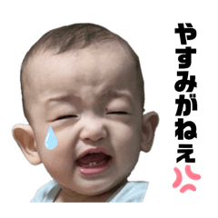 morike_20251129203812