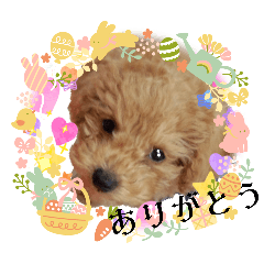 NOKOKO_20251129202836