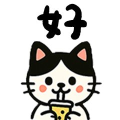 可愛黑白貓❤️實用日常用語✨