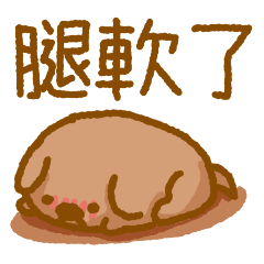 誰の家にもいる犬2★いやらしい