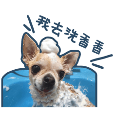 叮叮噹噹叮叮噹