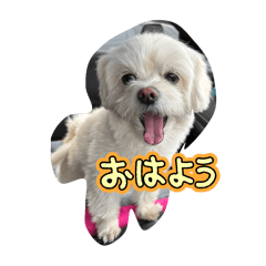 Natsu_20251129212830