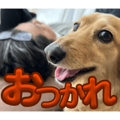 CHIKIN_20251129212708