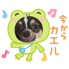 memetarou_20251129213915