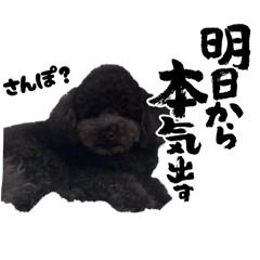 koto_20251129224252