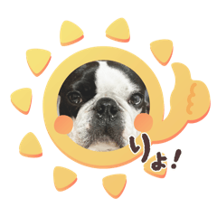 happy_20251129224013