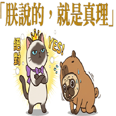 《傲嬌喵殿下與巴布放的被虐日記》