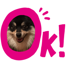 happy_20251129191040