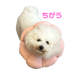 mocomoco_20251129202158