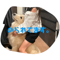 nacchi_20251129201251